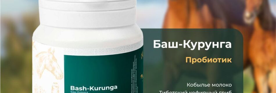 ❗️ПРОДОЛЖЕНИЕ ПРО БАШ КУРУНГУ. Тибетский гриб основной компонент в Баш Курунге. превосходно избавляет от ожирения, преобразуя жиры в такие вещества, которые легко удаляются из организма. При употреблении тибетский молочный гриб облегчает похудение, т.к. подавляет аппетит. Важно, что тибетский гриб нейтрализует и выводит из организма токсины, образующиеся в кишечнике в процессе разложения пищи и от побочных действий медикаментов. А значит, он оказывает благотворное влияние на микрофлору желудка и кишечника. Тибетский гриб прекрасно помогает при аллергии, атеросклерозе и сердечно-сосудистых проблемах, снижает сахар крови. В то же время он великолепно очищает микрофлору кишечника, тонизирует работу желудочно-кишечного тракта. С его помощью можно вывести из организма все яды, которые образовались в кишечнике вследствие неправильного питания и приема медикаментов. Применяется при: • Избыточном весе; • Сердечной недостаточности, диабете, заболеваниях щитовидной железы; • Малоактивном образе жизни; • Замедленном обмене веществ; • Целлюлите и «апельсиновой корке». • Повышенном аппетите; • «Заедании» проблем; • Постоянной потребности в сладком.